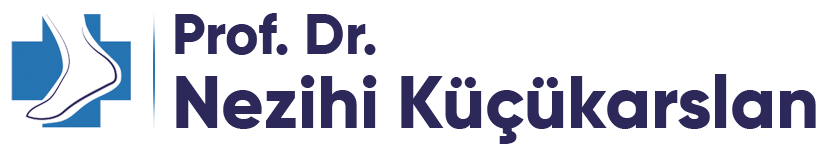 Prof.Dr.Nezihi Küçükarslan